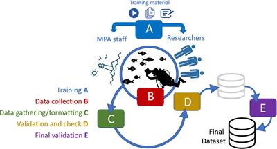 ClimateFish: A Collaborative Database to Track the Abundance of Selected Coastal Fish Species as Candidate Indicators of Climate Change in the Mediterranean Sea